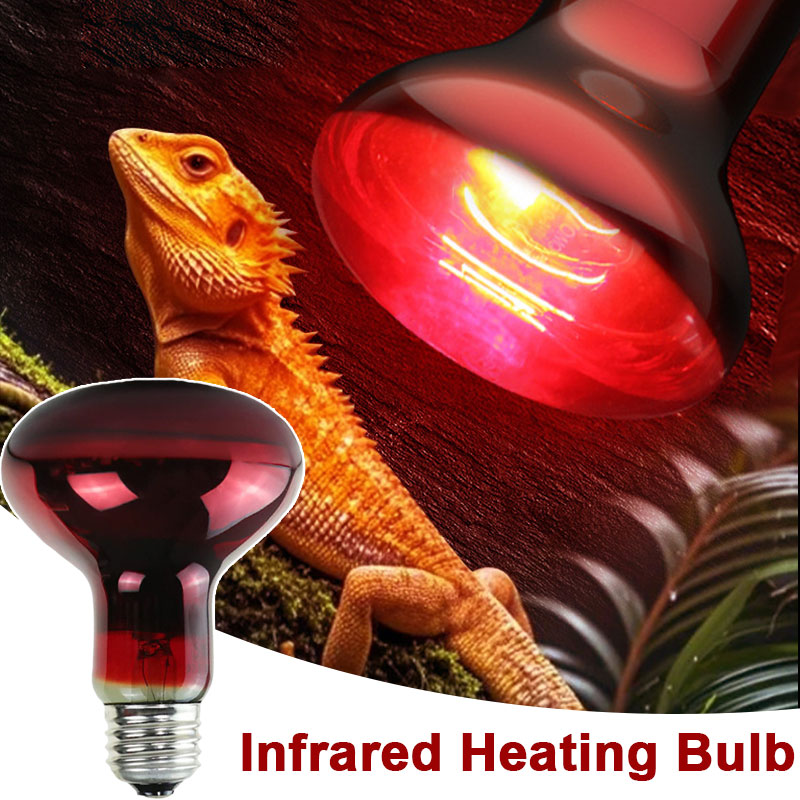 Reptile Heat Lamp 100V/220V In - Gecko Lighting & Decor のレビューと価格