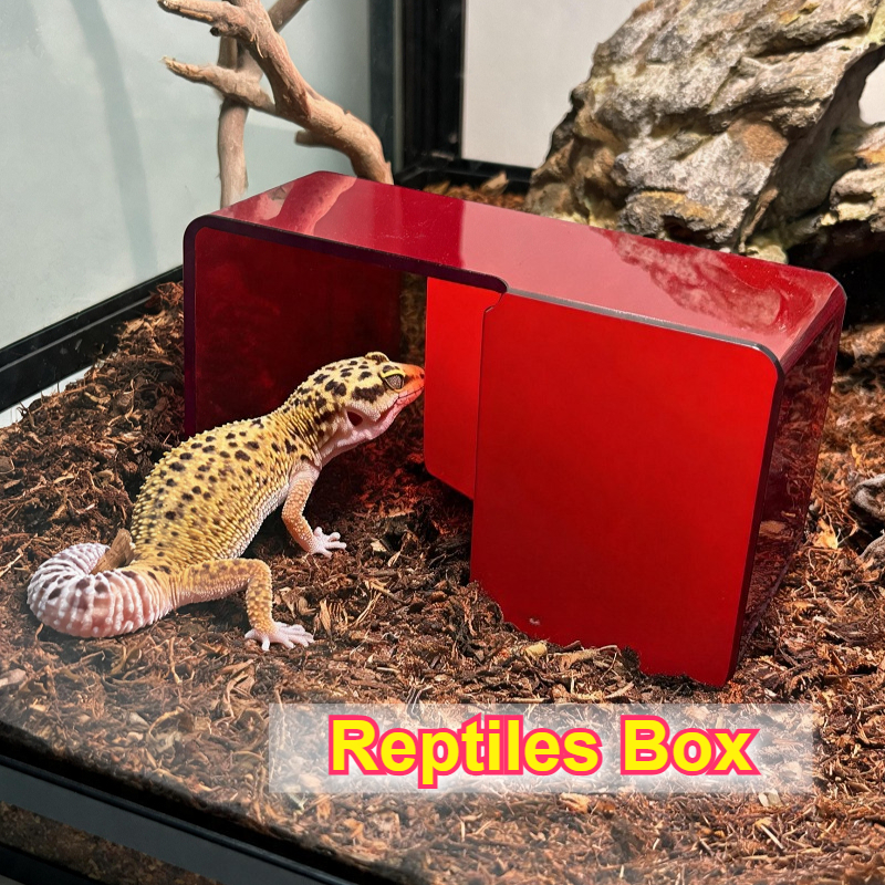 Red Acrylic Reptile Box Habita - Gecko Lighting & Decor のレビューと価格