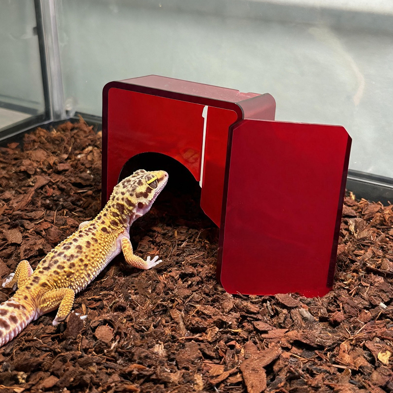 Red Acrylic Reptile Box Habita - Gecko Lighting & Decor のレビューと価格