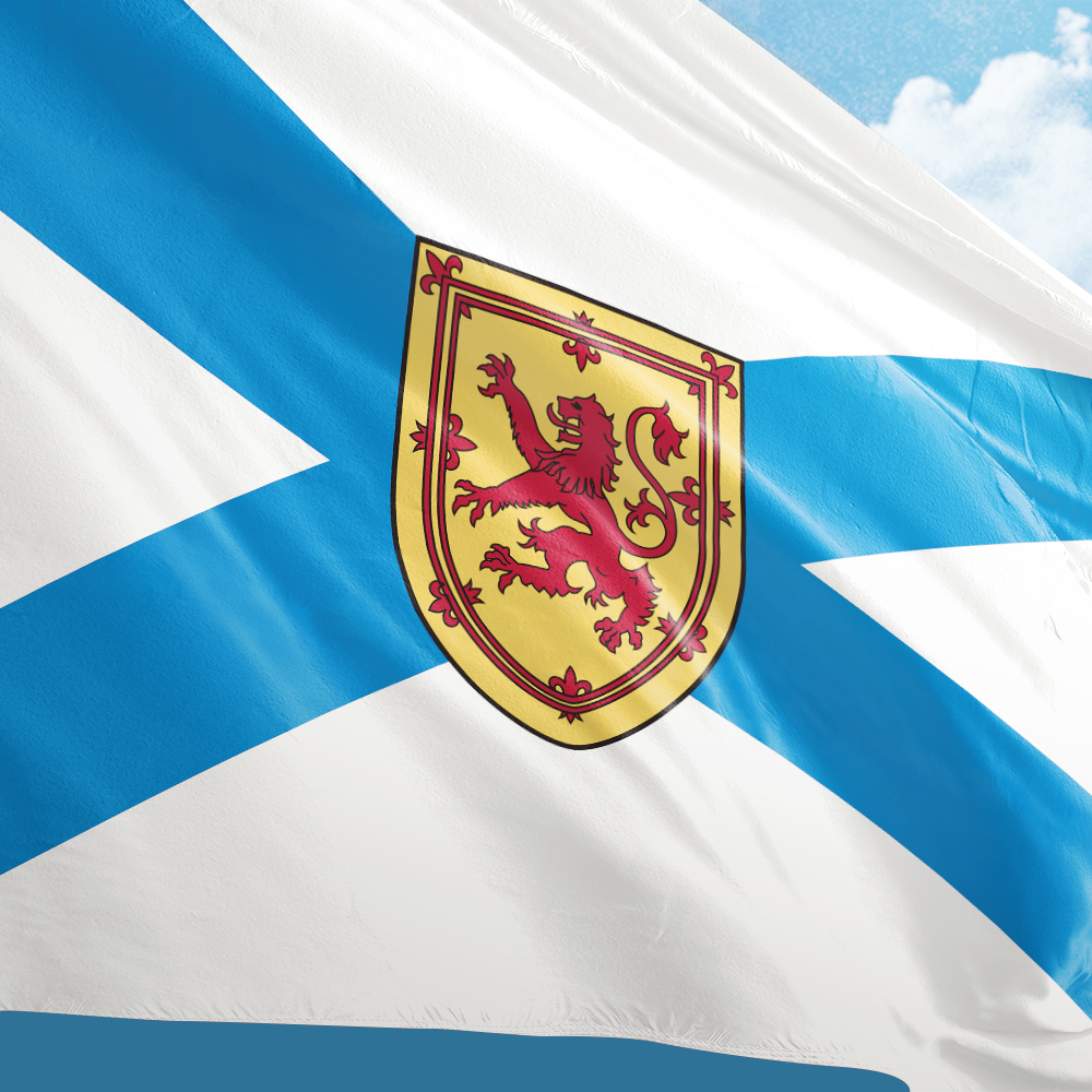 Canada Flag of Nova Scotia 3ft - Nova Decor & Lighting Julestjerne のレビューと価格