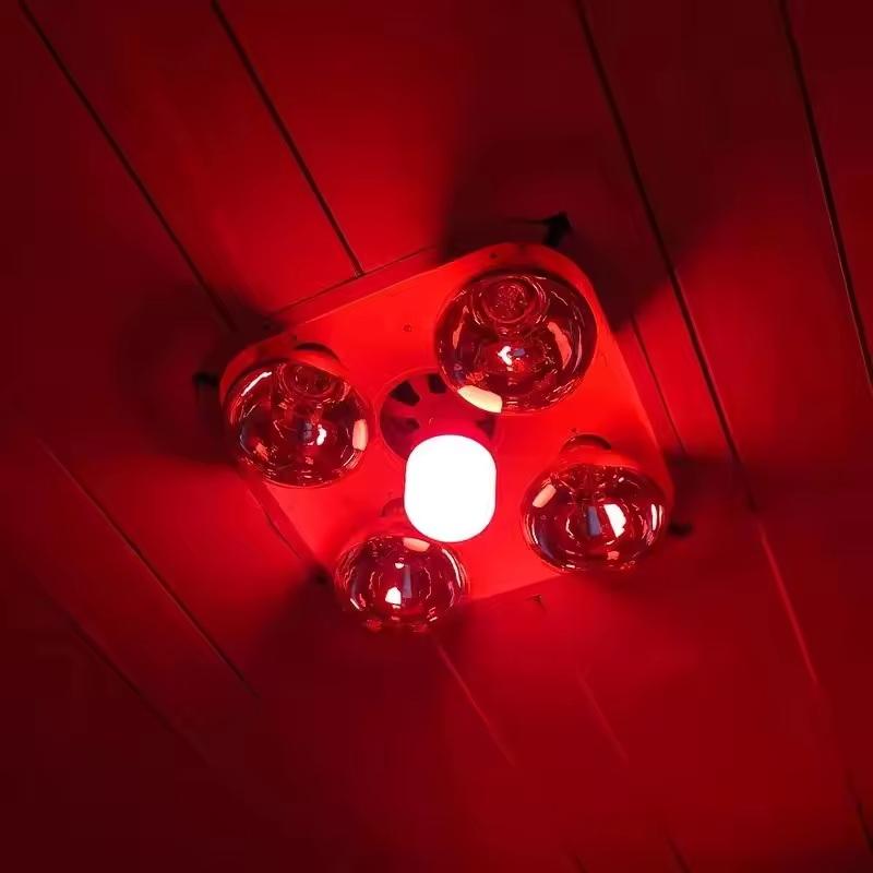 New High Power Red LED Light B - Lighting Christmas Decor のレビューと価格