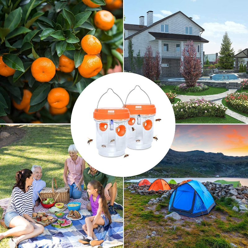 Solar Wasp Traps Hanging Yello - Lighting Jockey のレビューと価格