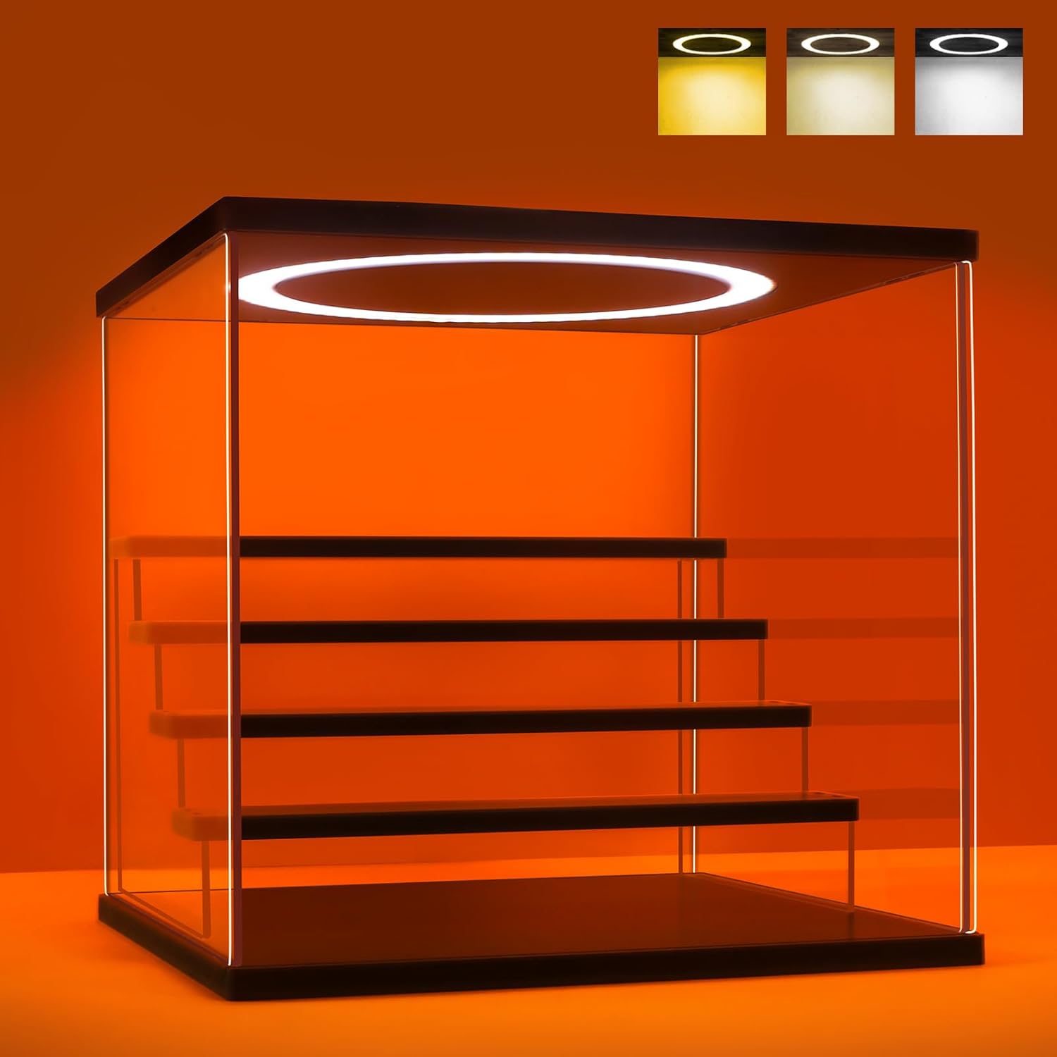 Acrylic Display Case with Adju - Lighting & Home Decor Studio のレビューと価格