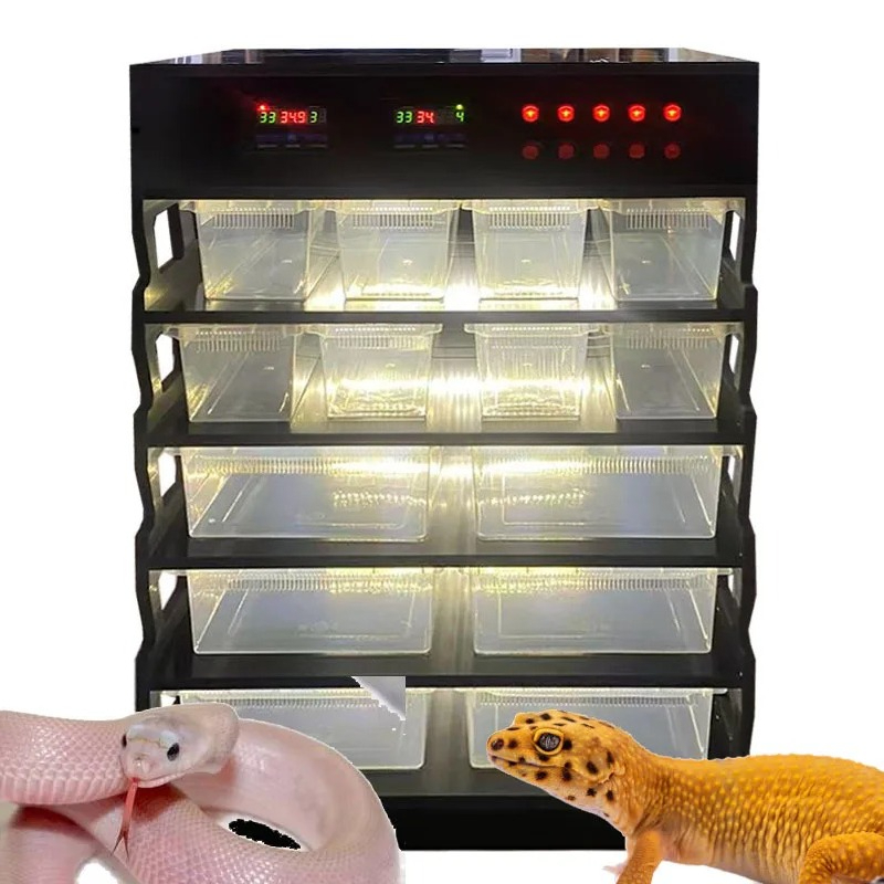 Intelligent PVC Reptile Furnit - Gecko Lighting & Decor のレビューと価格