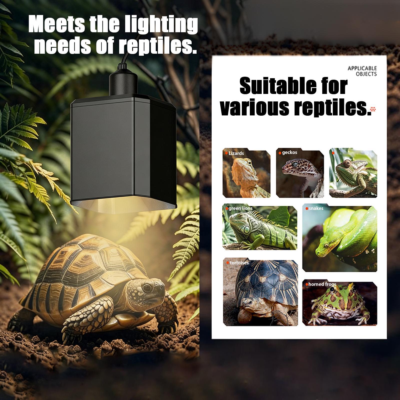 Heat Lamp Shade For Reptiles T - Gecko Lighting & Decor のレビューと価格