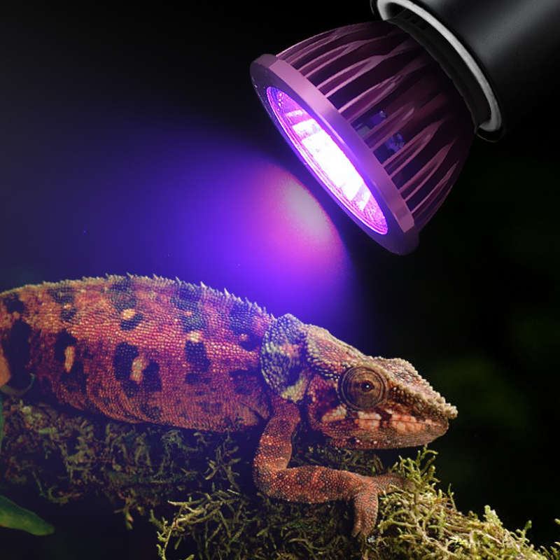 NOMOY Moonlight LED Night Ligh - Gecko Lighting & Decor のレビューと価格