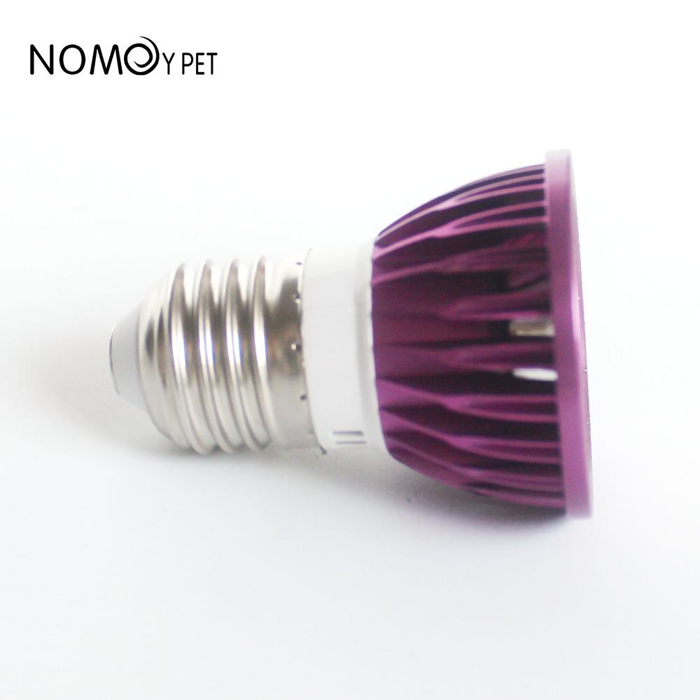 NOMOY Moonlight LED Night Ligh - Gecko Lighting & Decor のレビューと価格
