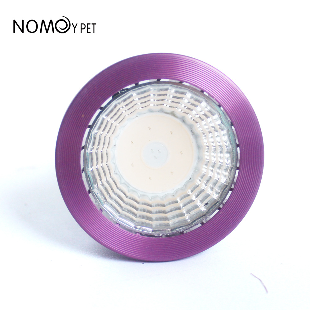 NOMOY Moonlight LED Night Ligh - Gecko Lighting & Decor のレビューと価格